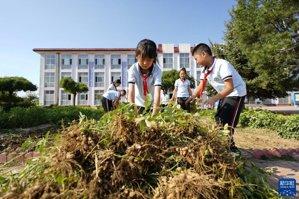 乐乐大作战水果777玩法教程
